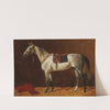A Saddled White Horse in a Stable (1903) by Emil Volkers