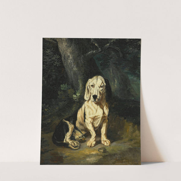 A Seated Basset Hound ( 1855) by Constant Troyon