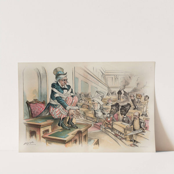 A senate for revenue only by Louis Dalrymple