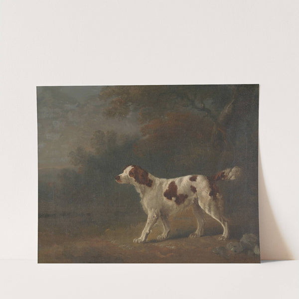 A Setter at the Edge of a Wood by Sawrey Gilpin