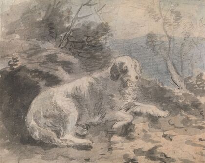 A Setter in a Landscape