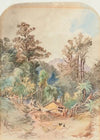 A settler’s new home near Dunedin