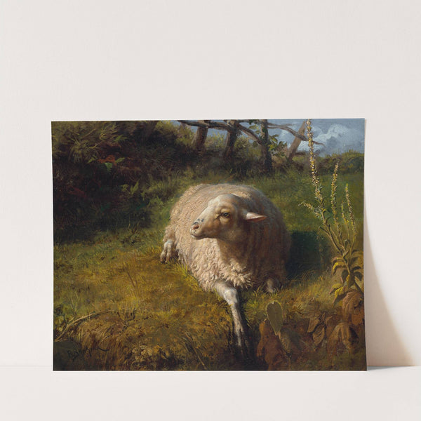 A Sheep at Rest by Rosa Bonheur