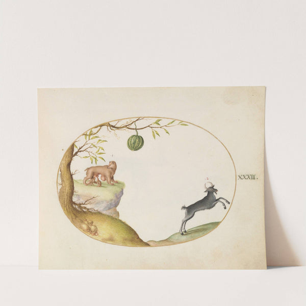 A ‘Simivulpa’ (Opossum) and an Ibex (1575-1590) by Joris Hoefnagel