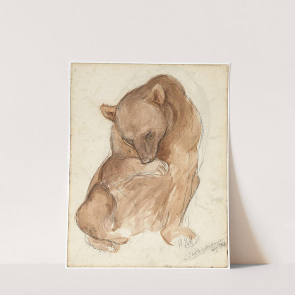 A sketch of a bear by John William Waterhouse