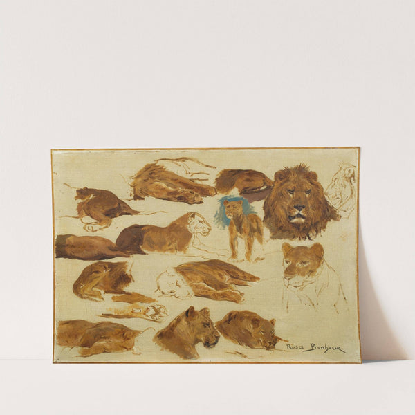 A sketch of lions and lionesses by Rosa Bonheur