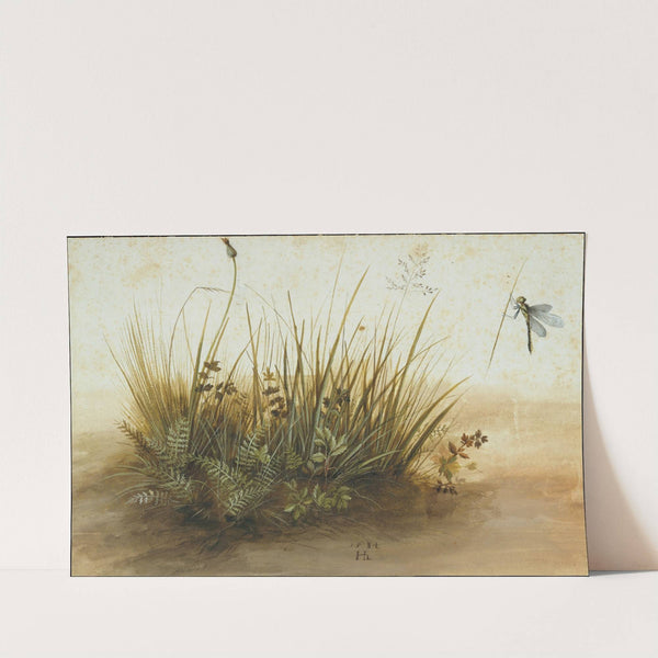 A Small Piece of Turf by Hans Hoffmann