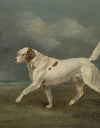 A Spaniel in a Landscape