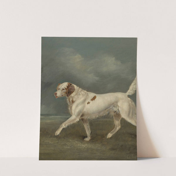 A Spaniel in a Landscape by Edwin Cooper