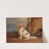 A spaniel seated outside of a barn (19th Century) by English School