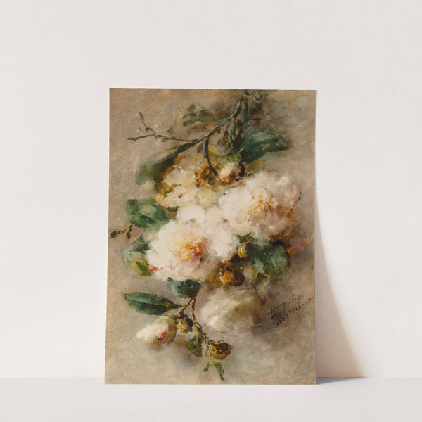 A spray of camellias hanging from a nail (circa 1892-96) by Margaretha Roosenboom