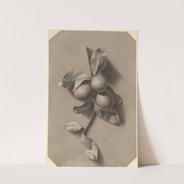 A Sprig of Plums by William Michael Harnett