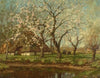 A spring landscape