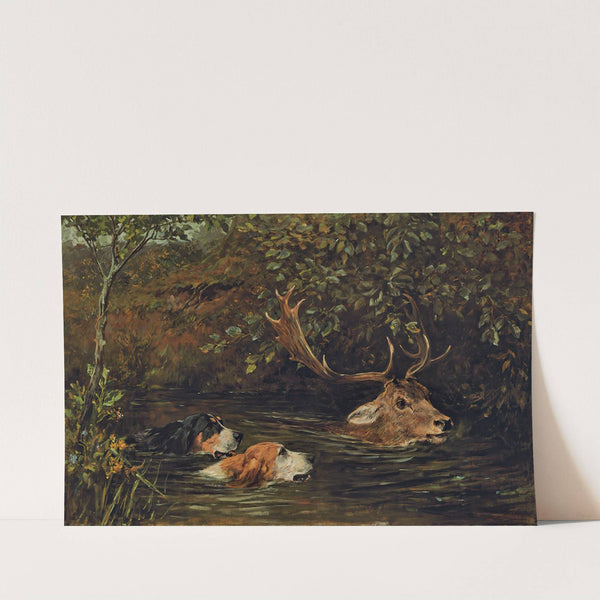 A Stag At Bay by John Emms