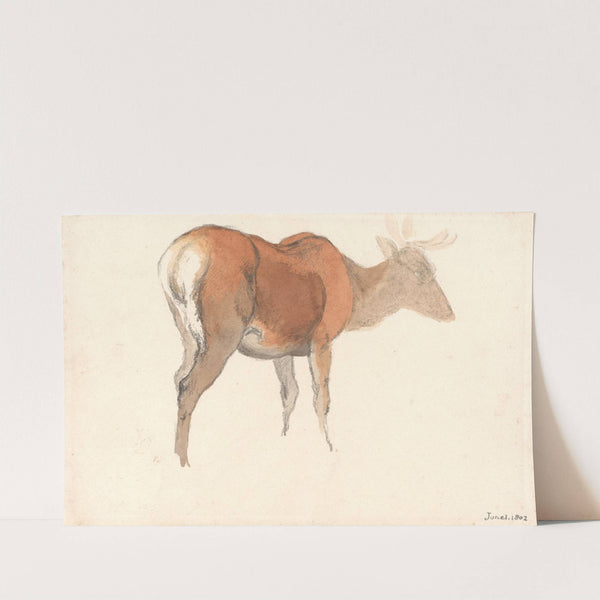 A Stag (1802) by Robert Hills