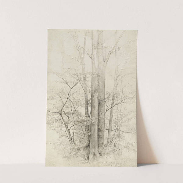 A Stand of Trees (1840) by Heinrich Dreber