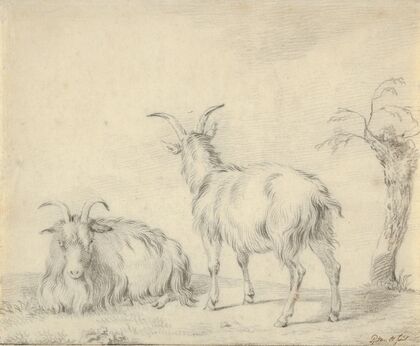 A Standing and a Lying Goat Near a Small Tree