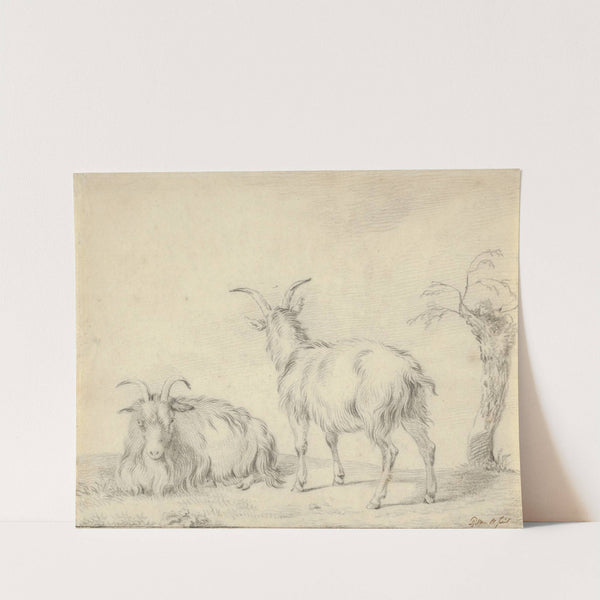 A Standing and a Lying Goat Near a Small Tree by Pieter Gerardus van Os