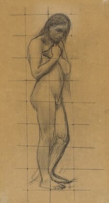 A Standing Male Nude