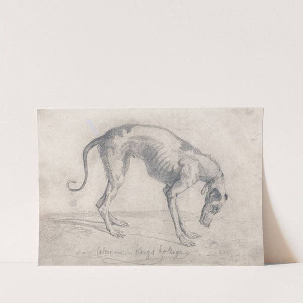 A Starved Greyhound by John Sell Cotman