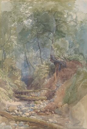 A Stream Near Clovelly, North Devon
