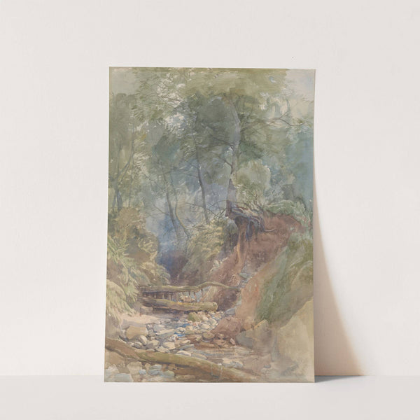 A Stream Near Clovelly, North Devon by John Middleton