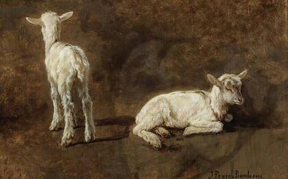 A Study Of Two Lambs