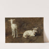 A Study Of Two Lambs by Juliette Peyrol-Bonheur
