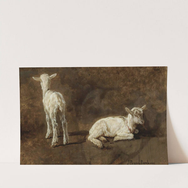 A Study Of Two Lambs by Juliette Peyrol-Bonheur