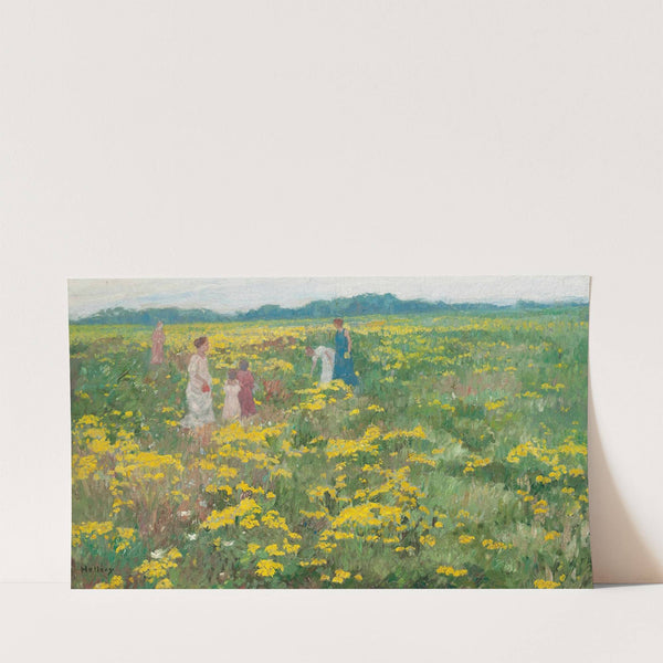 A Summer day by Simon Hollòsy