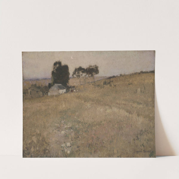 A summer evening by David Davies