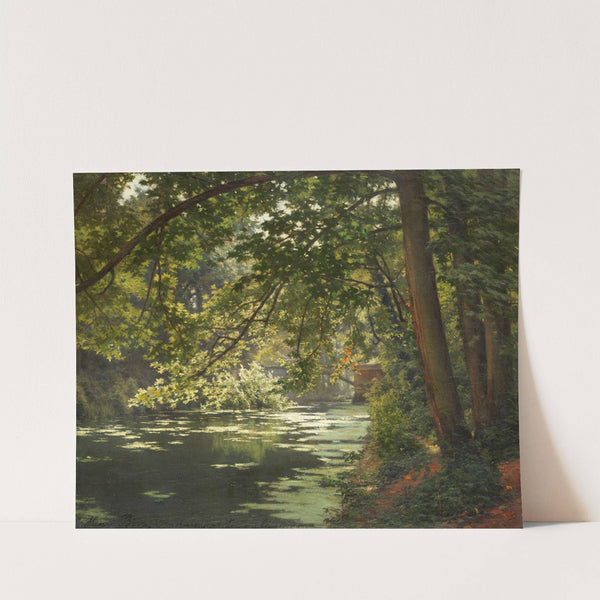 A sunlit woodland river by Henri Biva