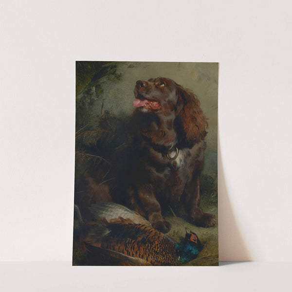 A Sussex Spaniel and a pheasant by Sir Edwin Henry Landseer