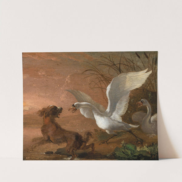 A swan attacking a dog by Abraham Hondius