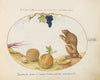A ‘Tartarine’ (Barbary Macaque) with Fruit and a Snail (1575-1590)