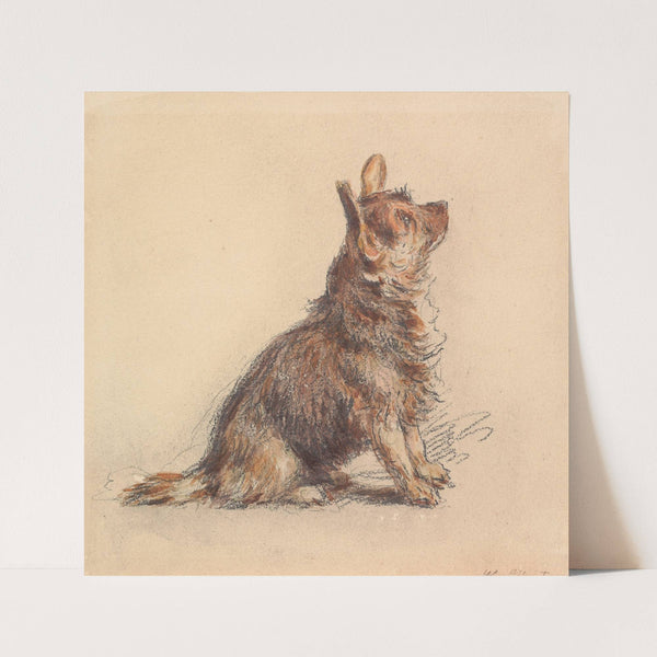 A Terrier Sitting, Looking Up to Right by William Henry Hunt