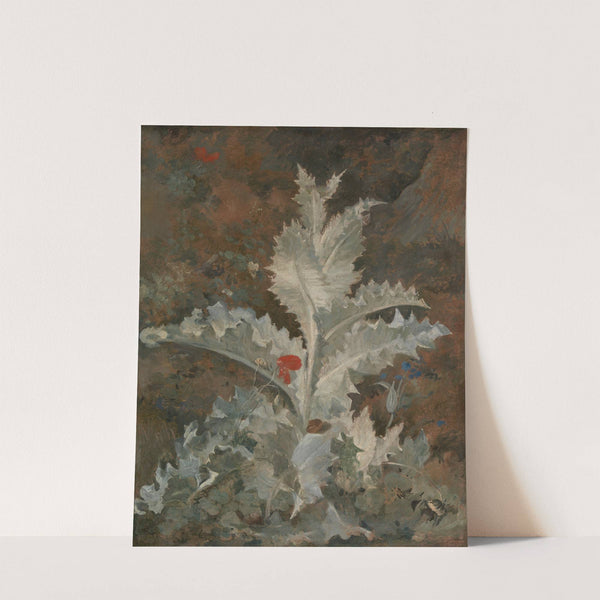 A Thistle by John Crome