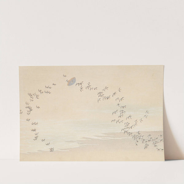 A Thousand Grasses Pl.09 (1900) by Kamisaka Sekka