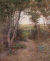 A ti-tree glade