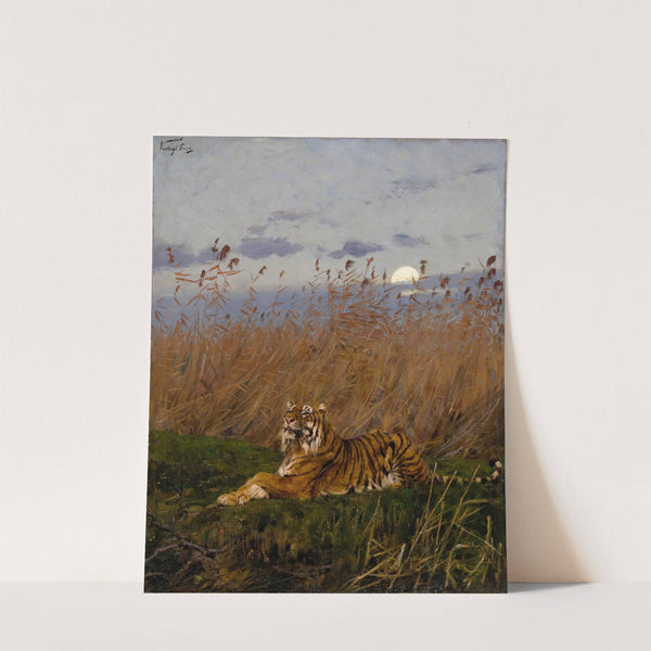 A Tiger Among Rushes In The Moonlight by Geza Vastagh