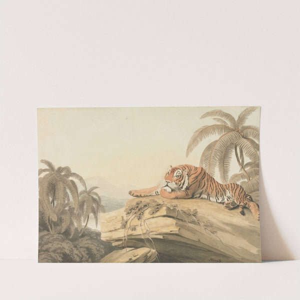 A Tiger Resting by Samuel Howitt
