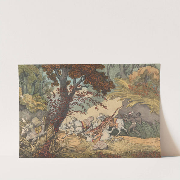 A Tiger Seizing a Bullock in a Pass (ca. 1830) by Samuel Howitt