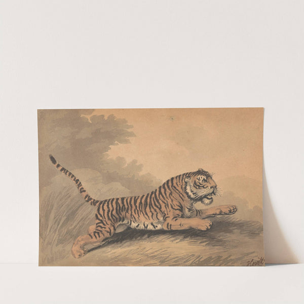 A Tigress Leaping to the Right by Samuel Howitt