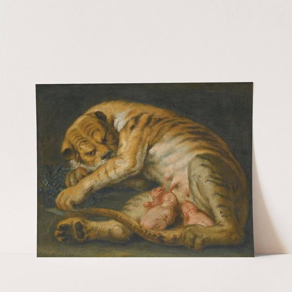 A Tigress With Her Cubs by Follower of Peter Paul Rubens