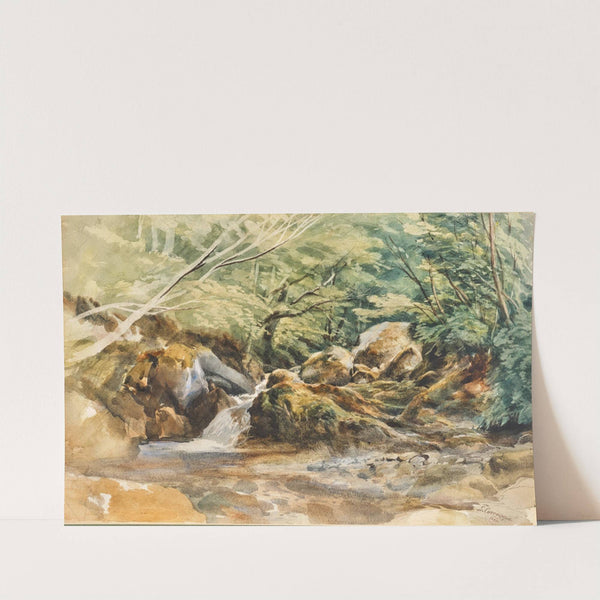 A torrent and shrubs, study by Ludwig Correggio