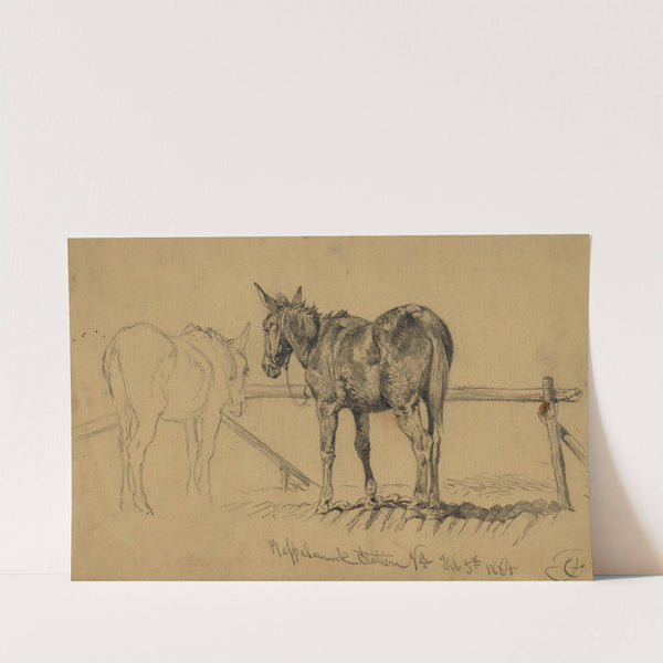 A tough customer. Army mule by Edwin Forbes