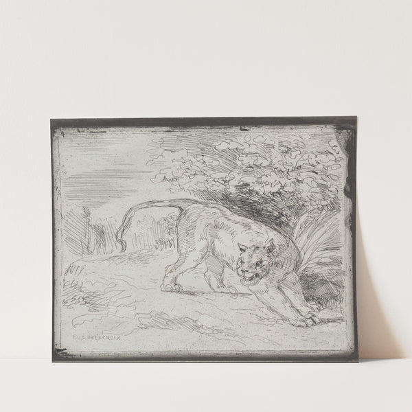 A Trapped Tiger (1854) by Eugène Delacroix