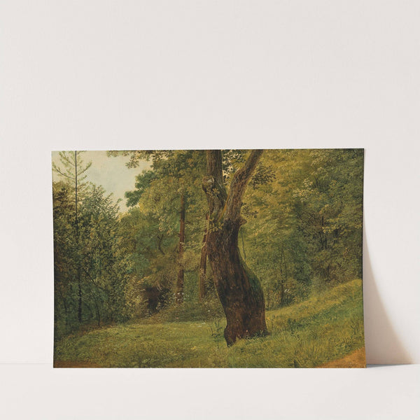 A Tree at the Edge of the Woods by Circle of Friedrich Gauermann