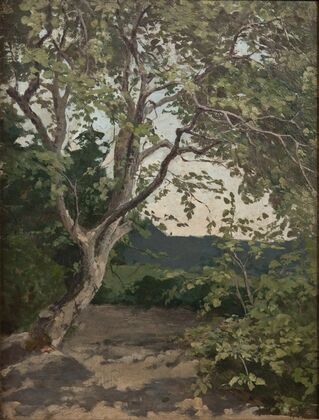 A Tree. Study