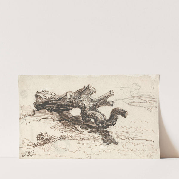 A Tree Trunk on the Ground by James Ward